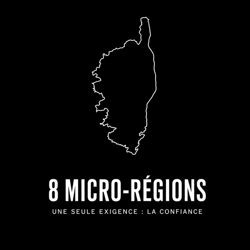 Carte de la Corse en contour blanc sur fond noir, 8 micro-régions